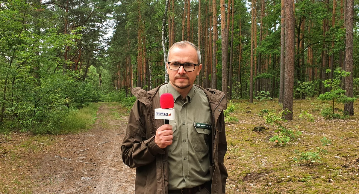 Przyroda, Spacer Krzysztofem Rylskim inżynierem nadzoru Nadleśnictwie Pułtusk - zdjęcie, fotografia