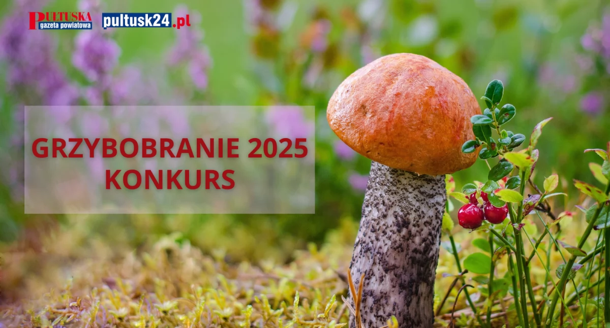 Konkursy , Grzybobranie rusza konkurs! Szczegóły regulaminie - zdjęcie, fotografia