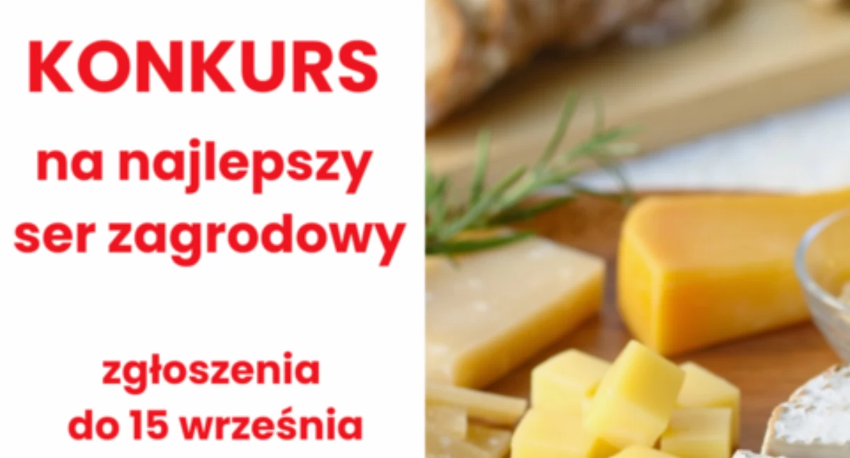 Społeczeństwo, Najlepsze Mazowszu poszukiwane! - zdjęcie, fotografia