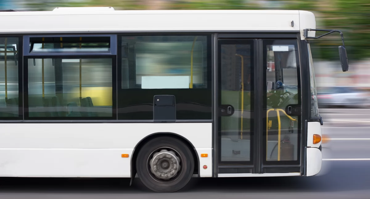 Samorząd , Pracują uruchomieniem nowej linii autobusowej Pułtusk–Zatory Zegrze - zdjęcie, fotografia
