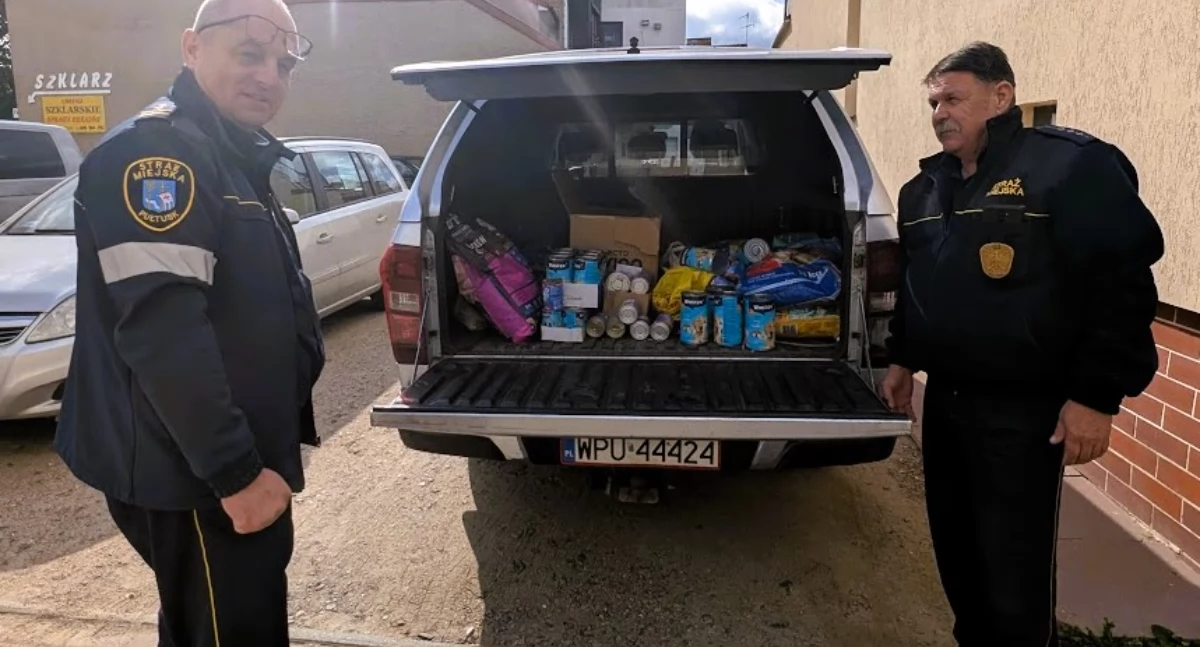 Zwierzaki, PSYjaciele! Dziękujemy! Ponad karmy trafiło psów przechowalni! - zdjęcie, fotografia