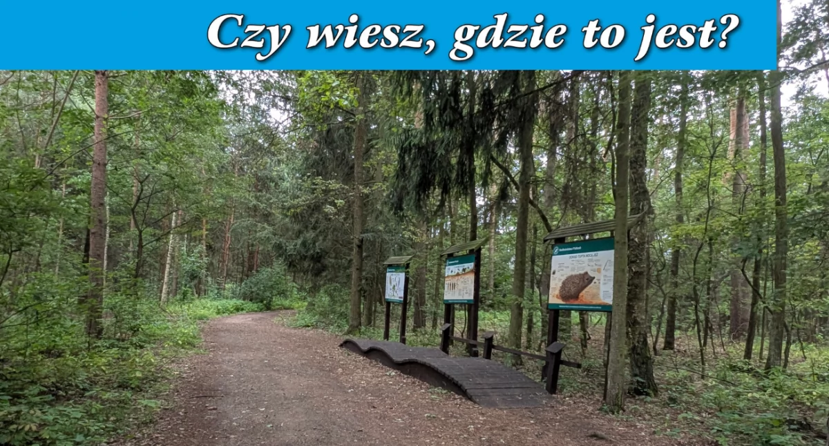 Konkursy , wiesz gdzie weekendowy konkurs - zdjęcie, fotografia