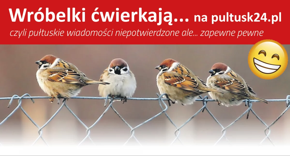 Felieton, Wróbelki ćwierkają - zdjęcie, fotografia