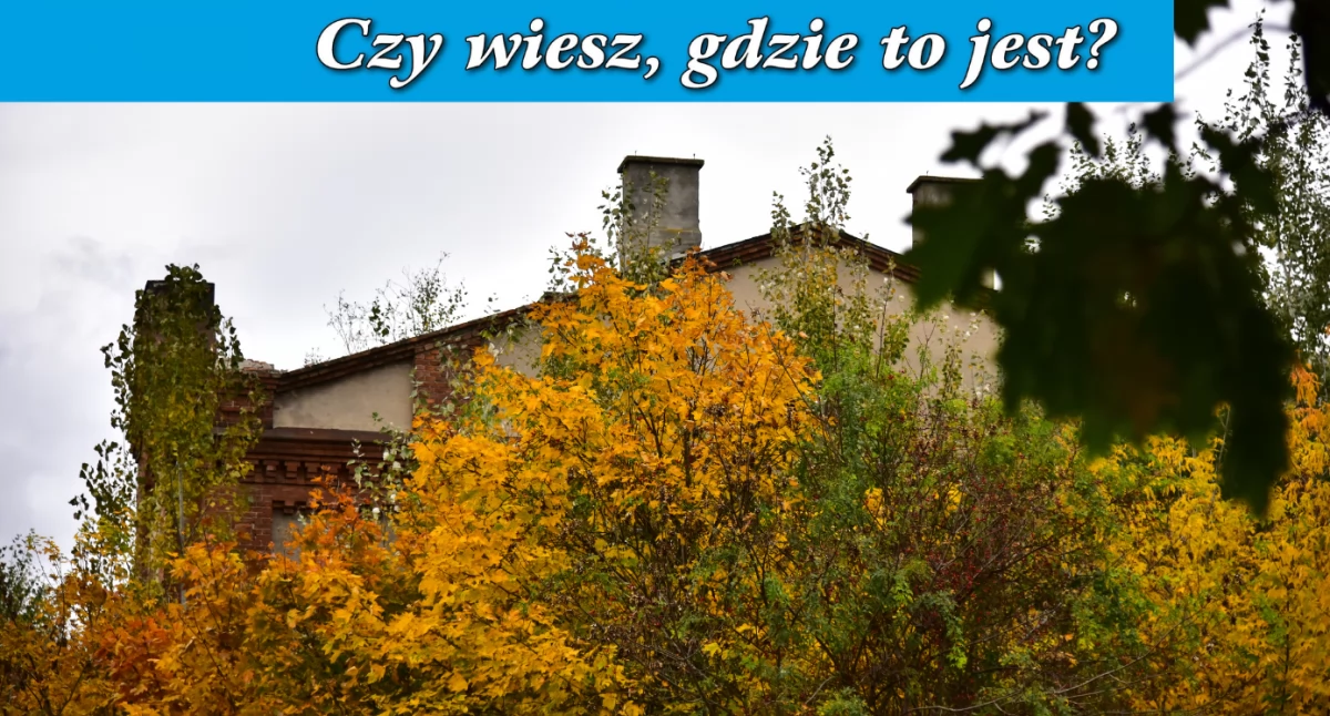 Konkursy , wiesz gdzie weekendowy konkurs - zdjęcie, fotografia