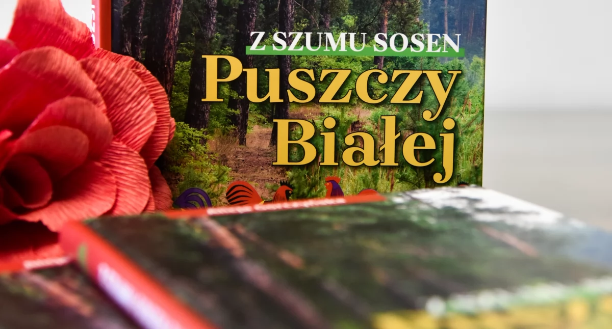 Literatura, szumu sosen Puszczy Białej wydanie sprzedaży! - zdjęcie, fotografia