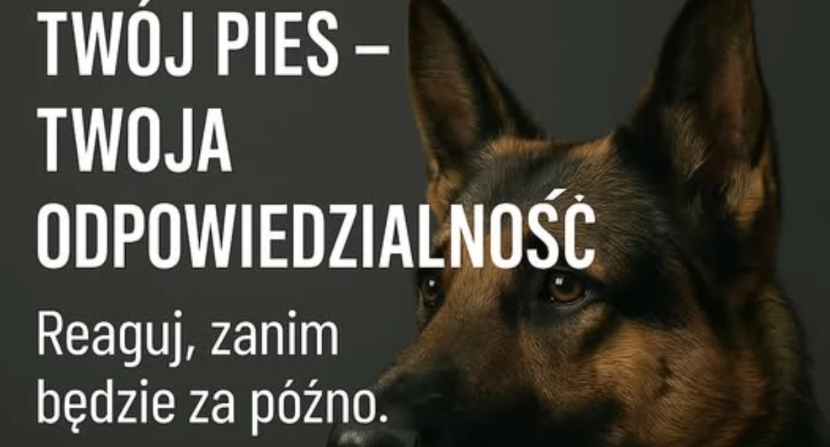 fot. Mazowiecka Policja
