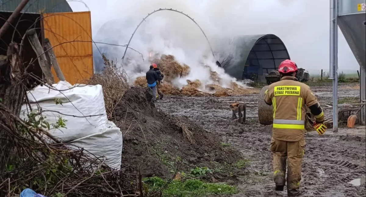 W kulminacyjnym momencie pracowało około 60 strażaków. Trwa dogaszanie hali w gminie Winnica