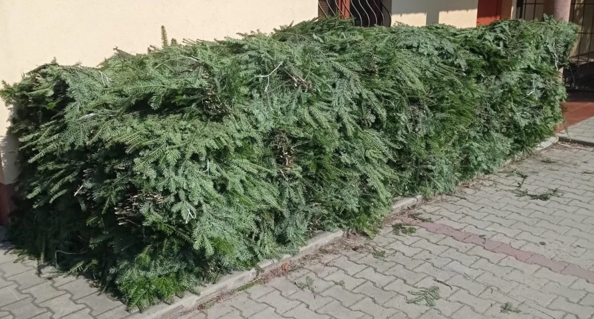 Społeczeństwo, Wszystkich Świętych Czy stroik grób może kosztować mandat - zdjęcie, fotografia