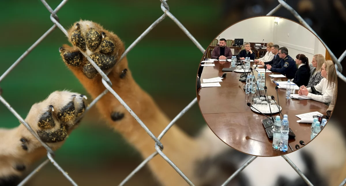 Fot. Canva, UM w Pułtusku