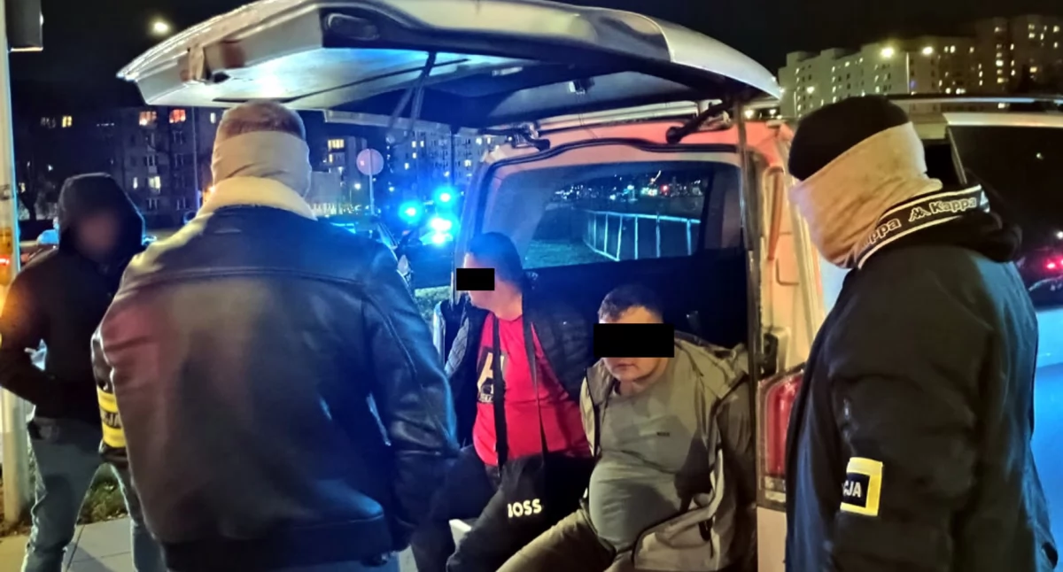 Kradli auta, zwozili do lasu, podpalali...