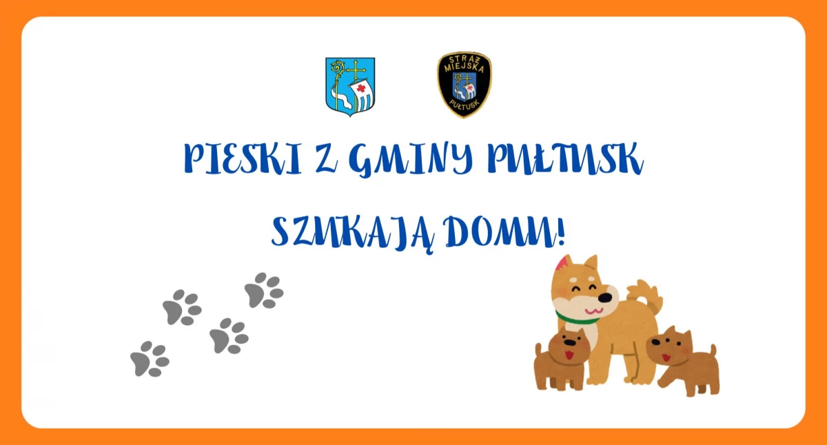 Wreszcie coś drgnęło w sprawie psów. Czy to początek potrzebnych zmian?