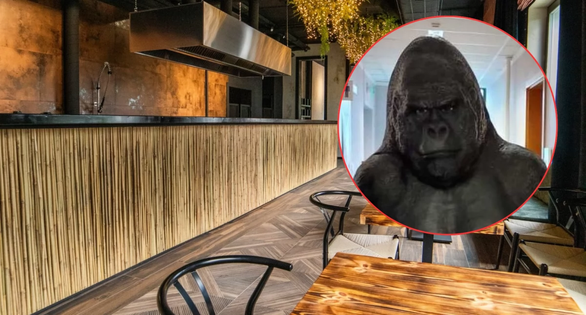 Prawdziwa historia o tym, jak goryl uprowadzony z restauracji został odbity z bagażnika porywacza