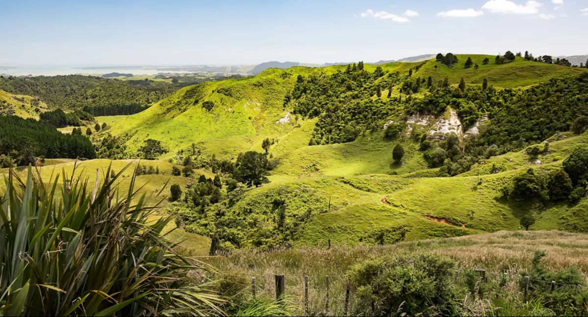 Egzotyczne podróże marzeń – gdzie warto polecieć, by przeżyć niezapomnianą przygodę?