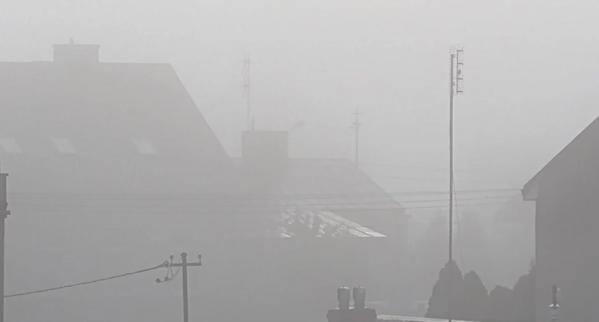 Pogoda, Uważajcie drogach! MGŁA! - zdjęcie, fotografia