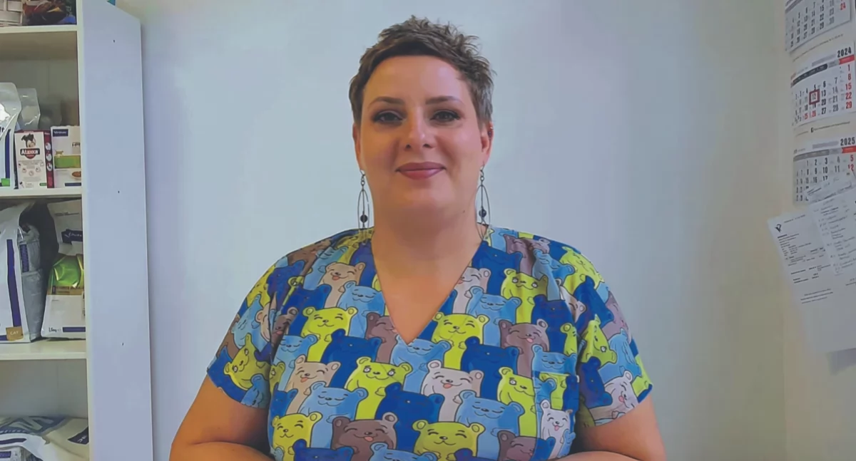 Wywiad, Sylwestra DRAMAT wszystkich ZWIERZĄT! pomóc zwierzęciu przetrwać fajerwerków - zdjęcie, fotografia