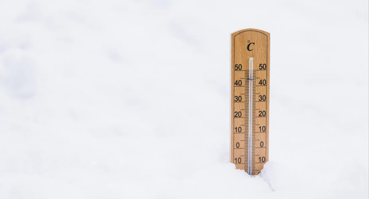 Fot. poglądowe, Freepick