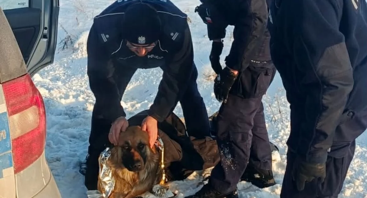 Policja, Czujność przechodnia błyskawiczna akcja policji uratowały który przymarzł ziemi - zdjęcie, fotografia