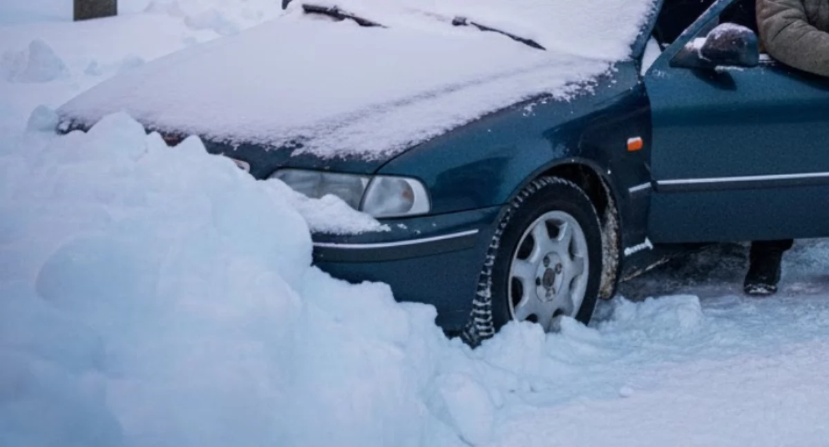 zdjęcie wygenerowane przez AI