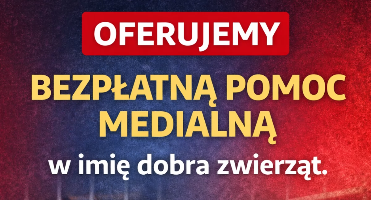 Zwierzaki, MUREM PAZUREM! Oferujemy bezpłatną pomoc medialną imię dobra zwierząt! - zdjęcie, fotografia