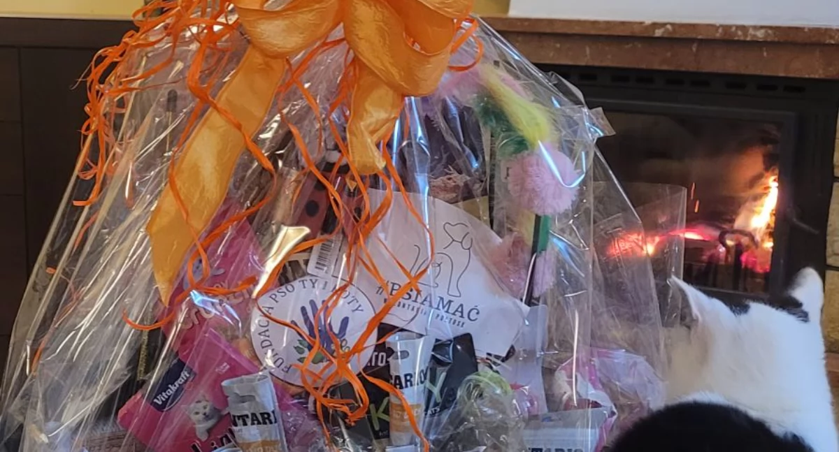 Społeczeństwo, Anonimowy bohater pułtuskich kotów…POSZUKIWANY! POMÓŻCIE! - zdjęcie, fotografia