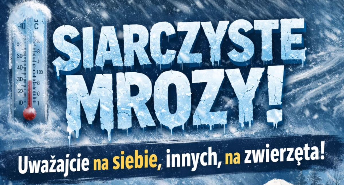 Pogoda, SILNY MRÓZ! Uważajcie siebie innych zwierzęta! - zdjęcie, fotografia