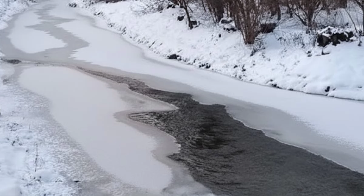 Fot. poglądowe, Wikipedia