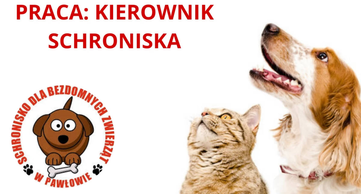 schronisko.pukciechanow.pl, pixabay.com