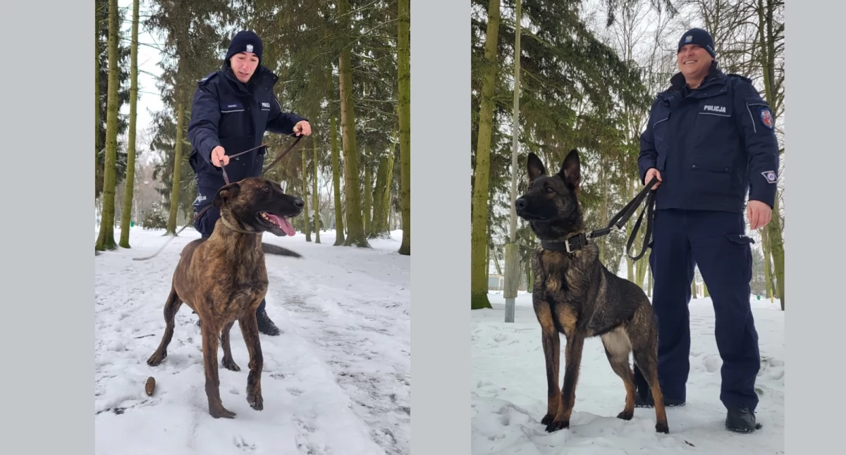 Policja, cztery łapy funkcjonariusze mazowieckim garnizonie - zdjęcie, fotografia