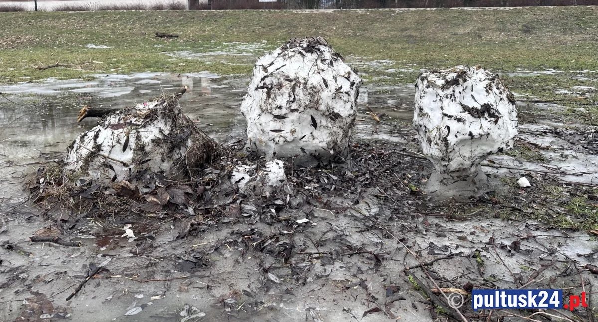 Miasto, wiosnę kończą wszystkie bałwany - zdjęcie, fotografia