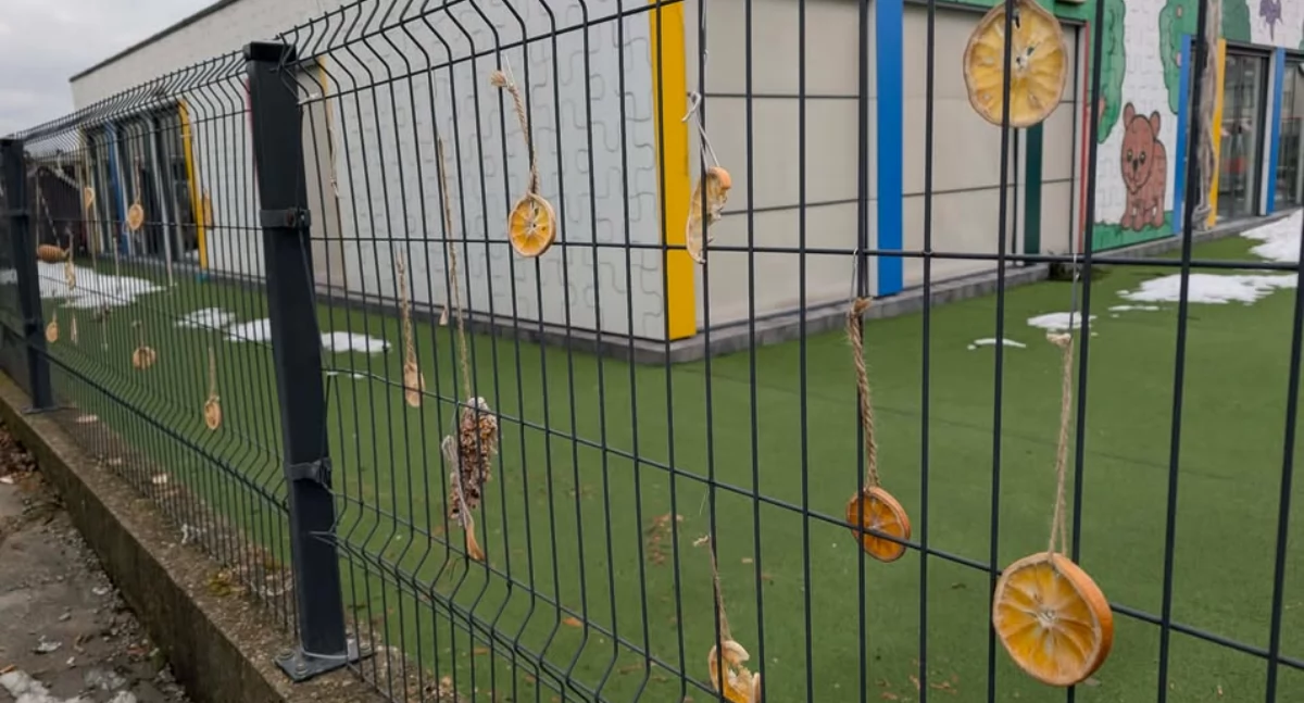 Społeczeństwo, Małe rączki wielkie serca! - zdjęcie, fotografia