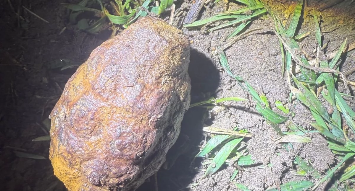 Policja, Granat Niebezpieczne znalezisko gminie Świercze - zdjęcie, fotografia