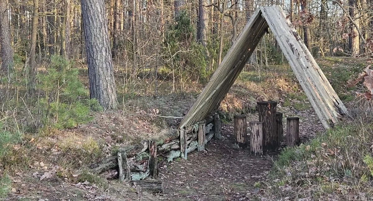 Konkursy , wiesz gdzie konkurs - zdjęcie, fotografia