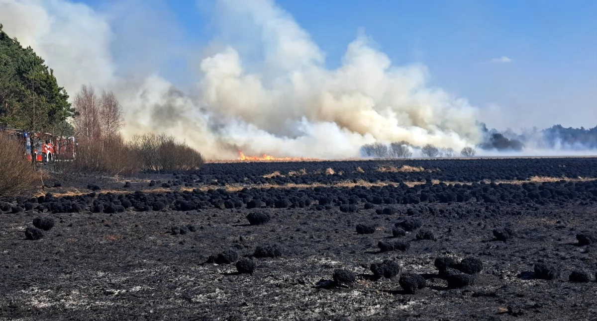 fot. Lasy Państwowe, JRG Wołomin, OSP Lucynów Duży