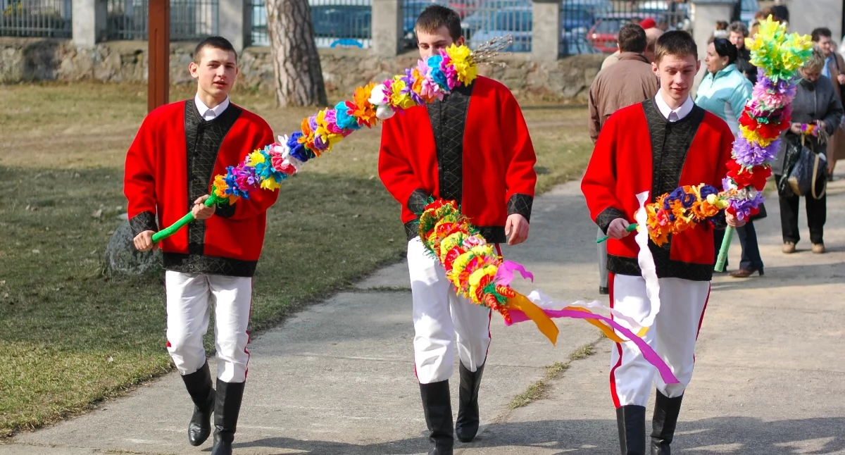 Tradycja, Kurpie Puszczy Zielonej zapraszają Niedzielę Palmową Łysych - zdjęcie, fotografia