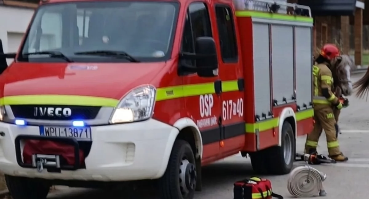 zdjęcie wygenerowane przez AI