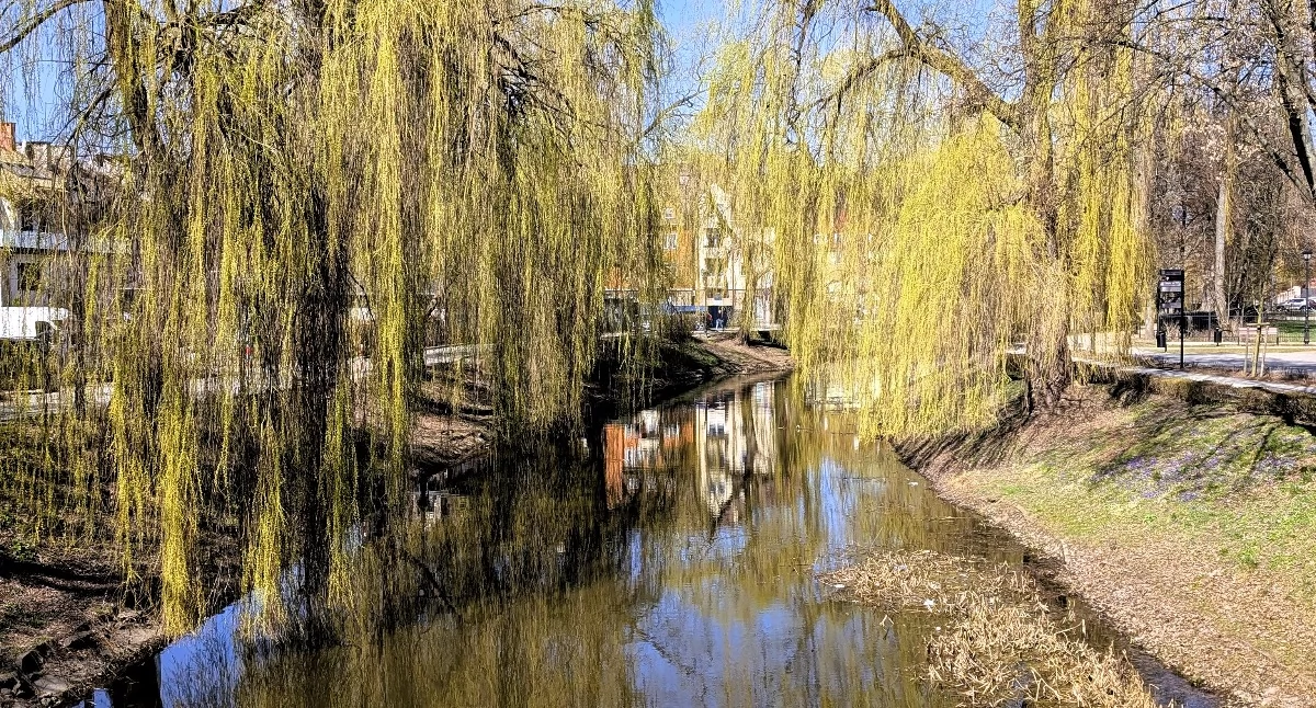 Społeczeństwo, Eksperci ogłaszają nazwa PÓŁTUSK wpisana nowych zasad języka polskiego! - zdjęcie, fotografia
