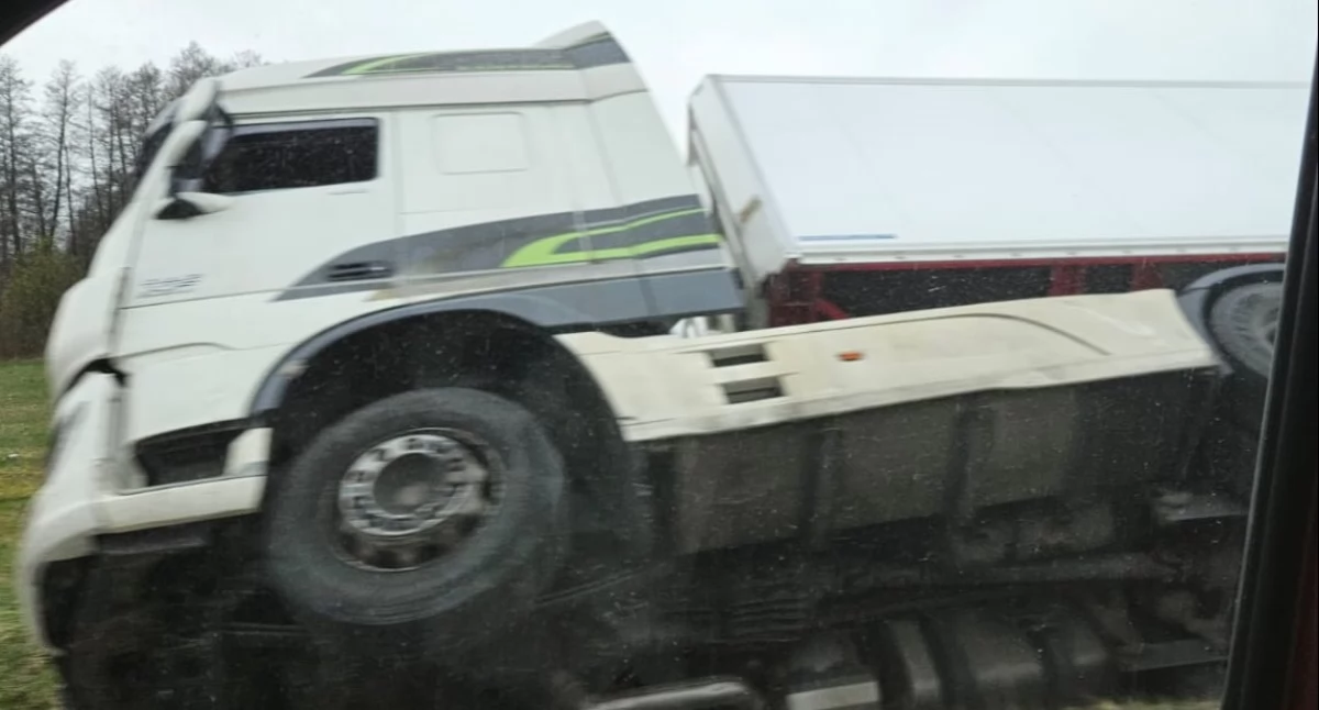 Policja, rowie - zdjęcie, fotografia