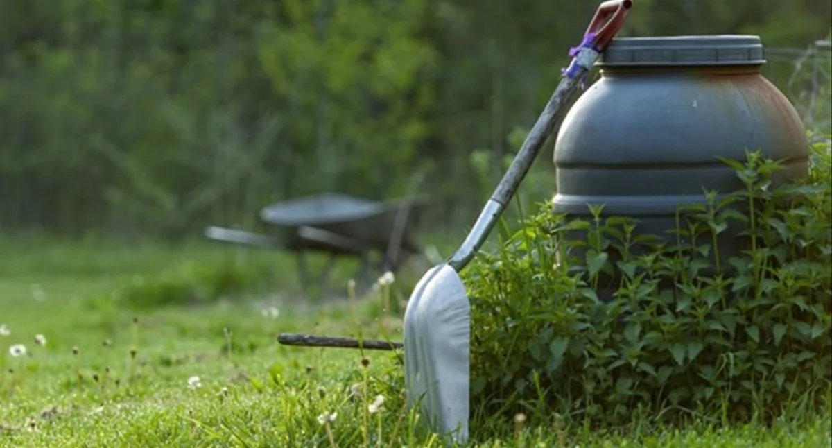 Artykuł zewnętrzny, Porządki ogrodzie warto wynająć kontener - zdjęcie, fotografia