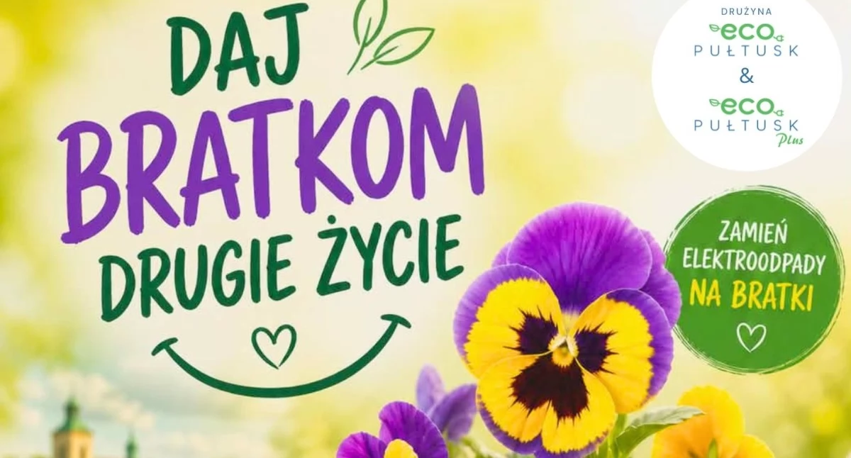 Miasto, bratkom drugie życie wyjątkowa akcja Pułtusk - zdjęcie, fotografia