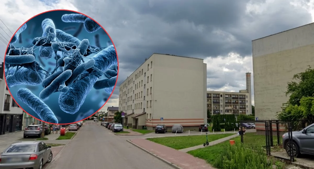 Miasto, Zakażenie Legionellą Pułtusku mężczyzny krytyczny - zdjęcie, fotografia
