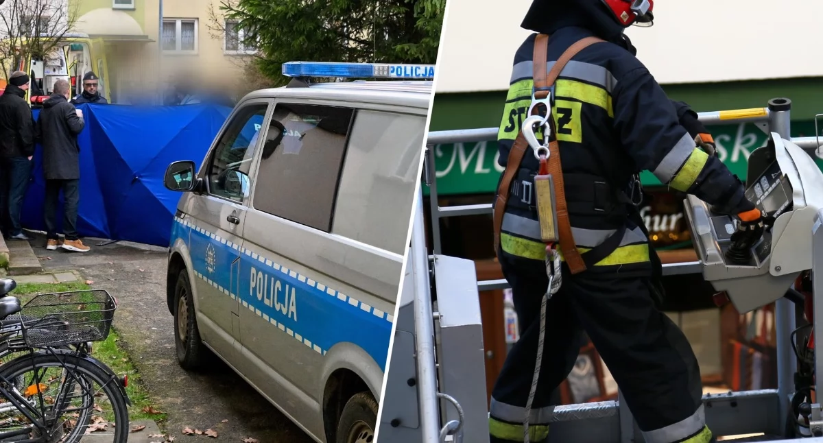 Bezpieczeństwo, Seria fałszywych alarmów Polsce Służby tłumaczą zasady siłowego wejścia lokalu - zdjęcie, fotografia