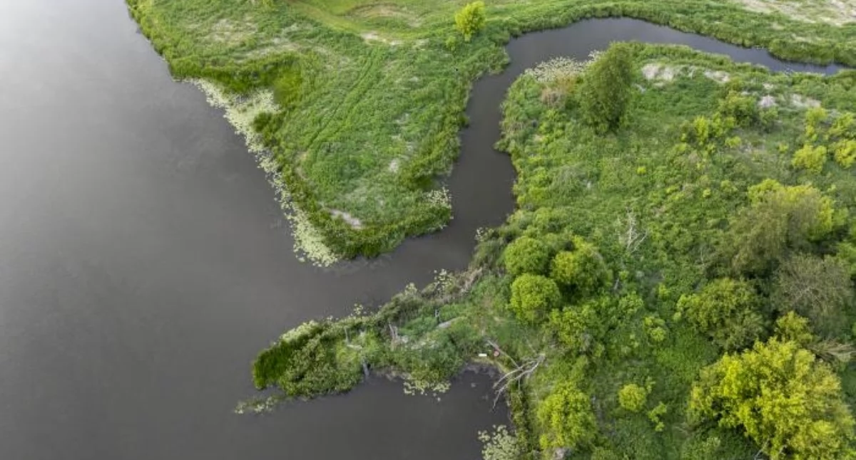 Fot. pogladowe, Narew w Pułtusku. Arch. Pultusk24