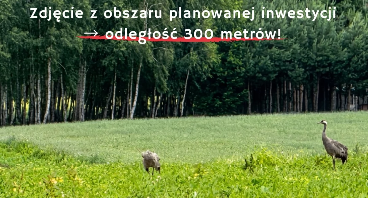 Interwencje, Petycja sprawie powstaniu inwestycji gospodarowania odpadami Chmielewo (gmina Pułtusk) - zdjęcie, fotografia