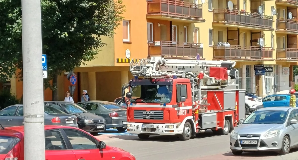 Straż Pożarna, Nietypowa interwencja Strażacy ratują jeżyka - zdjęcie, fotografia