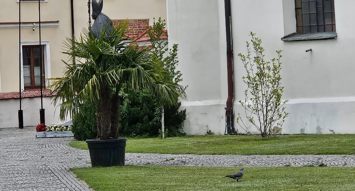 Konkursy , wiesz gdzie konkurs - zdjęcie, fotografia