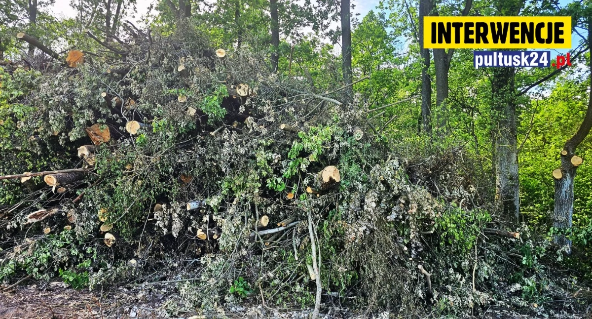Interwencje, Samowola radnego Chmielewie Zlecił prace wiedzy burmistrza! - zdjęcie, fotografia