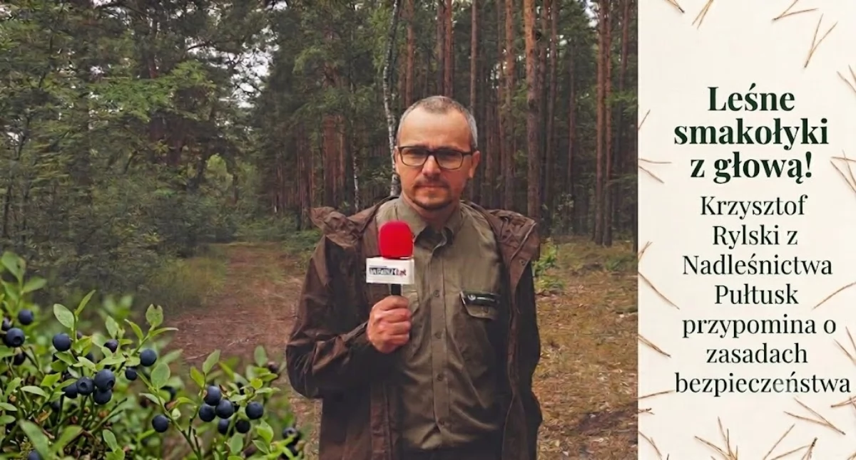 Leśne smakołyki z głową! Rzecznik Nadleśnictwa Pułtusk przypomina o zasadach bezpieczeństwa