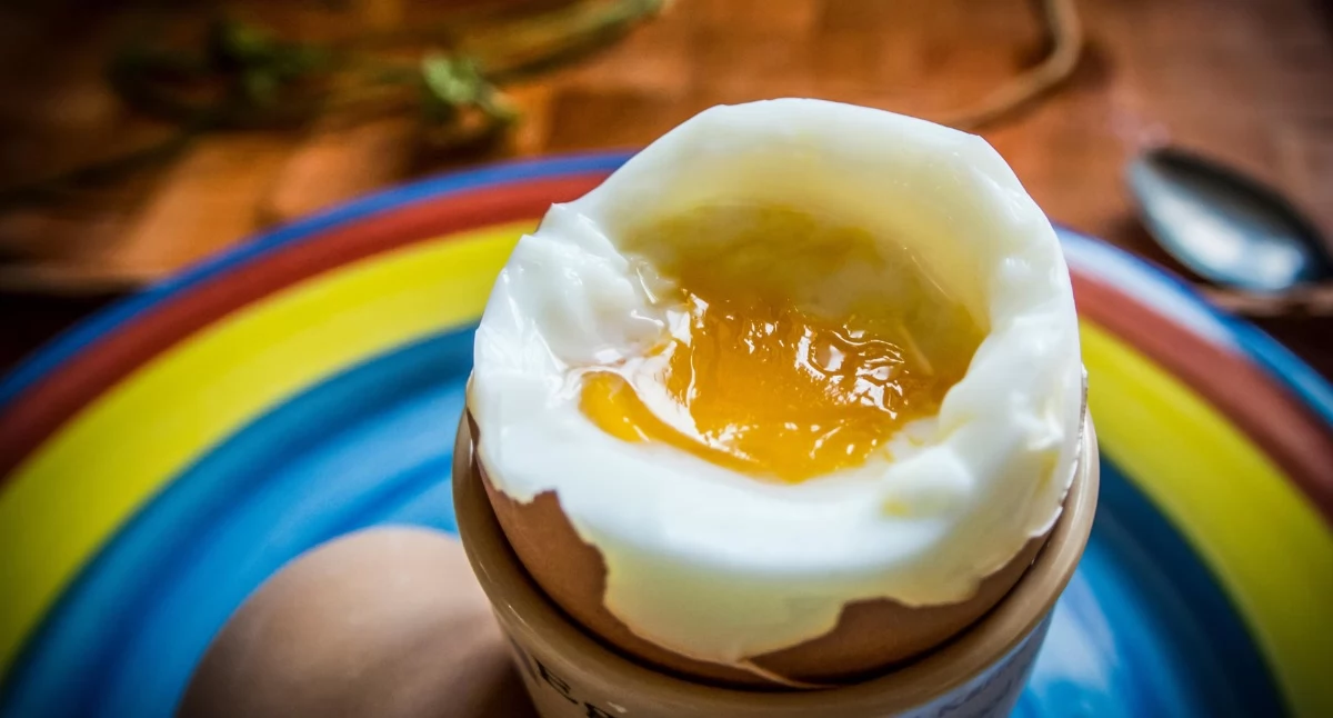 Zdrowie, Jajka lupą naukowców badania rozwiewają dotyczące cholesterolu  - zdjęcie, fotografia