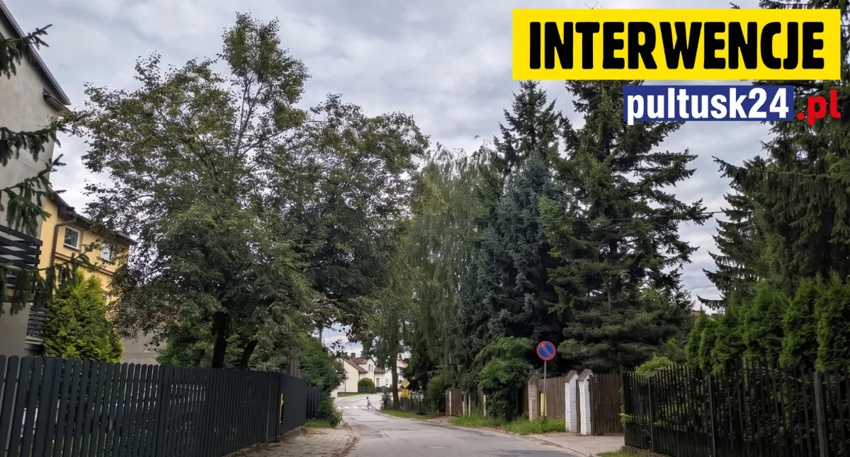 W aktualnym numerze PGP, Wytną cenne drzewa poszerzyć cichą uliczkę Mieszkańcy walczą zieloną trasę szkoły - zdjęcie, fotografia