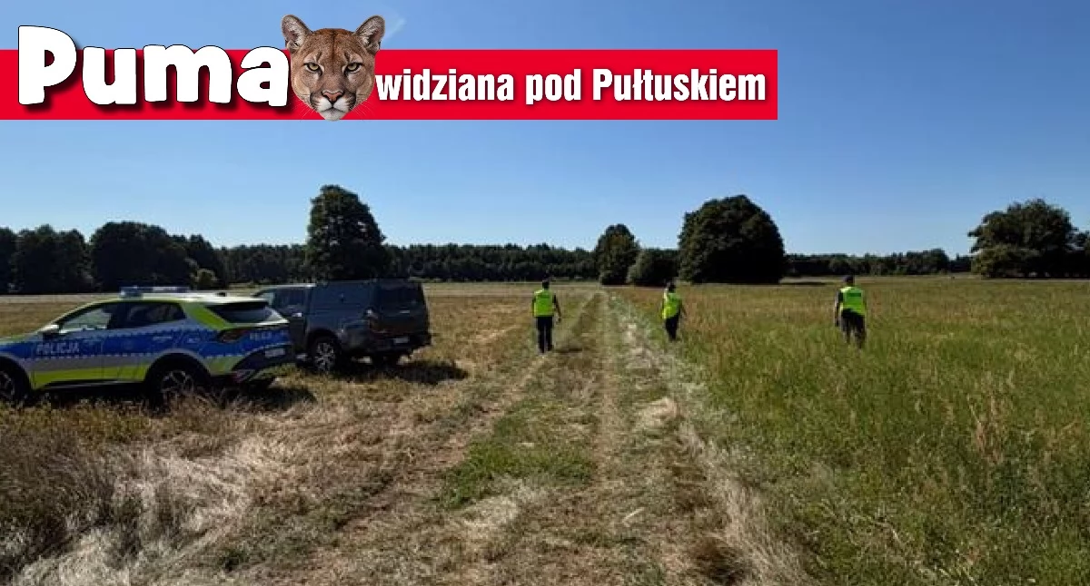Komunikaty policji, Policjanci biorą udział poszukiwaniu - zdjęcie, fotografia